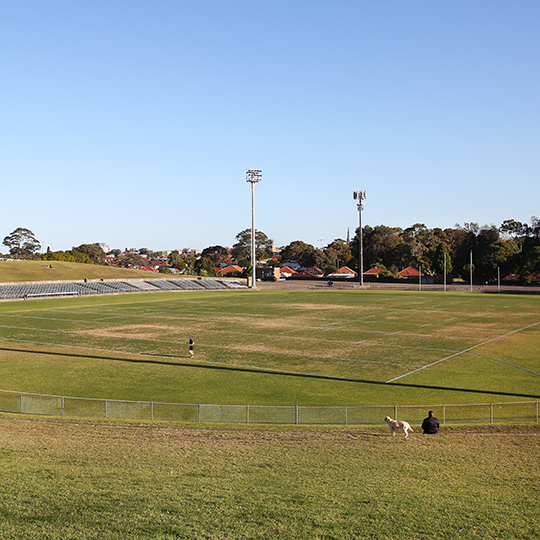 Henson Park Oval and park view